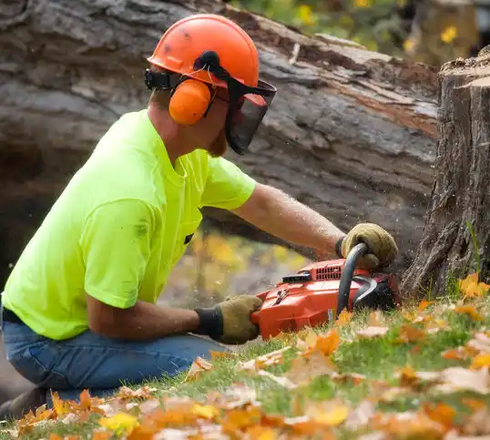 tree services Baldwinville